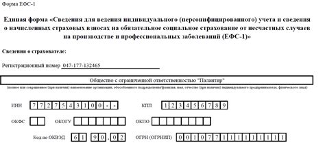 Определение статуса зл в форме ЕФС 1