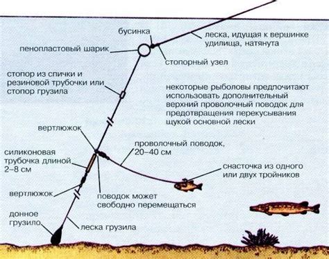 Определение типа донной снасти