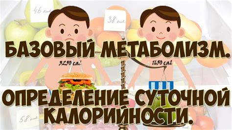 Определение уровня калорийности: как установить необходимую норму после усиленной физической нагрузки