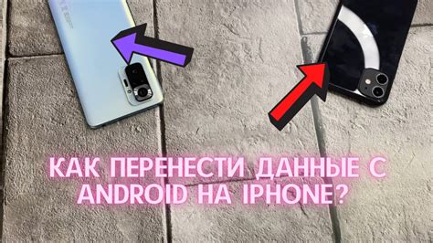 Определение функций и сущности возможности покупки контактов на iPhone