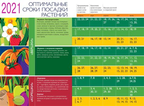 Оптимальный период для осенней посадки растений в целях улучшения качества почвы перед наступлением зимы