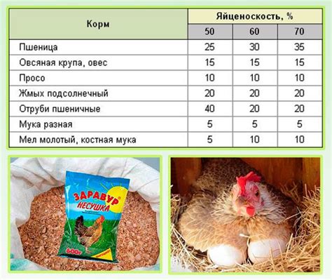 Оптимальный рацион питания для восстановления производительности кур