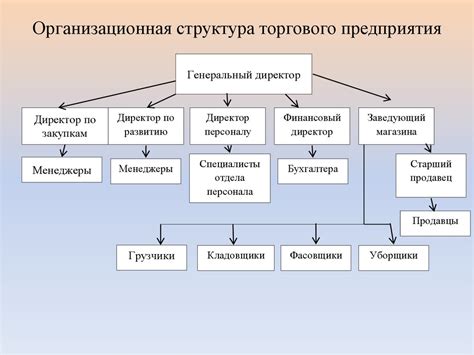 Организационная структура в сфере услуг и гостеприимства