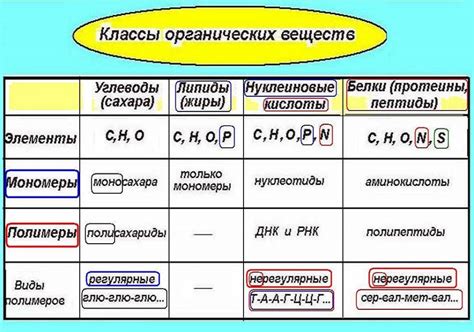 Органические вещества: основные строительные элементы живых организмов