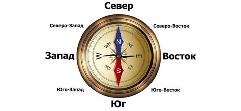 Ориентируйтесь на компасе, чтобы определить направление движения