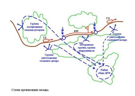 Осваиваемся в лесной местности: начальные этапы