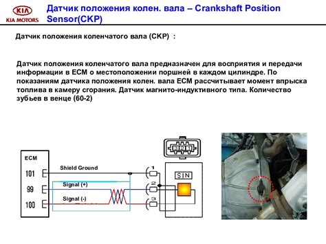 Осмотр основных компонентов системы определения положения коленвала