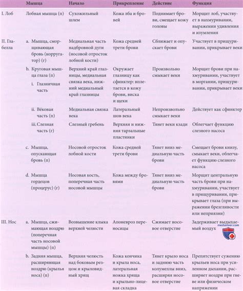 Основные активные ингредиенты: состав и механизм действия