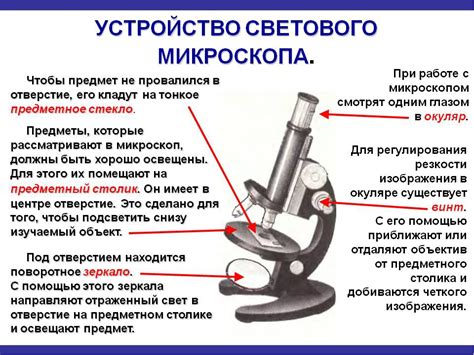 Основные виды СЭМ-микроскопов и их применение