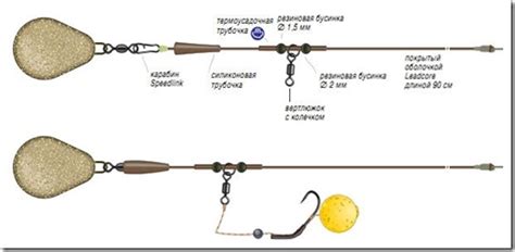 Основные виды снастей для поимки карпа