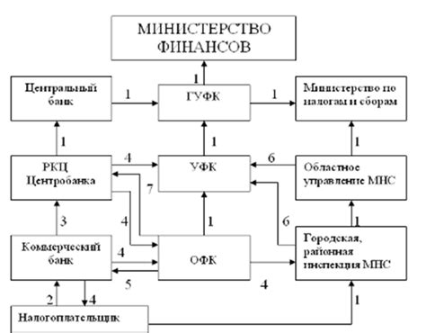 Основные задачи и функции казначейства в период зимних праздников