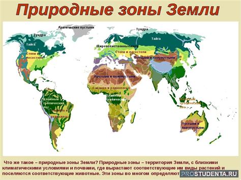 Основные климатические зоны и природные условия