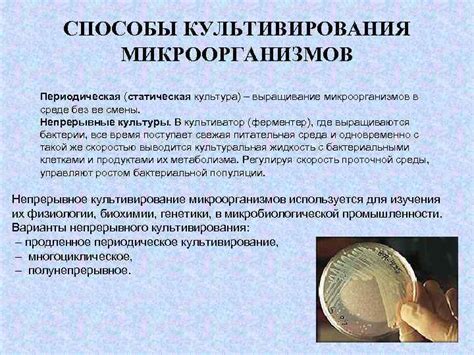 Основные методы предотвращения появления микроорганизмов в моче