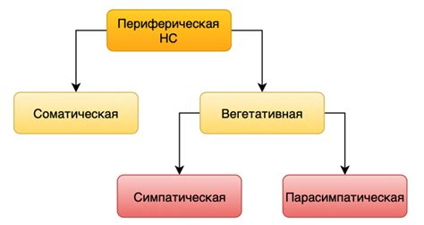 Основные понятия гомогенизации