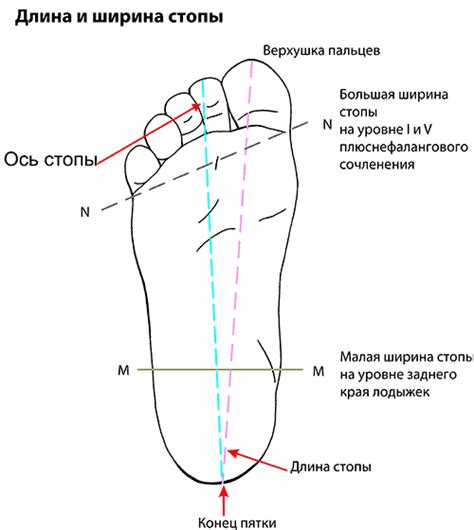 Основные признаки несоответствия размера стопы и обуви