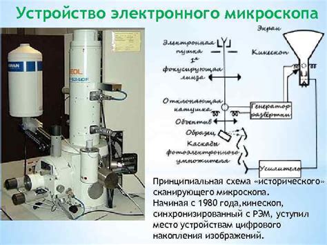 Основные принципы гистологического исследования