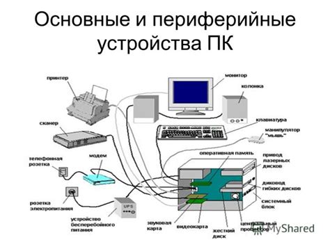 Основные принципы и выгоды работы устройства отслеживания питомцев