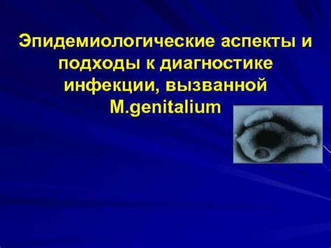 Основные принципы и подходы к лечению сыпи, вызванной чесоткой