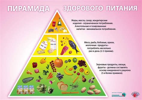 Основные принципы и рекомендации по питанию маленьких кошечек