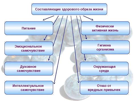 Основные принципы обеспечения психического здоровья и их влияние на ежедневную жизнь