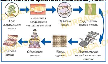 Основные принципы поиска и переработки продовольственных ресурсов