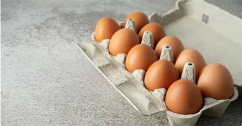 Основные принципы профилактики и правильного хранения яиц