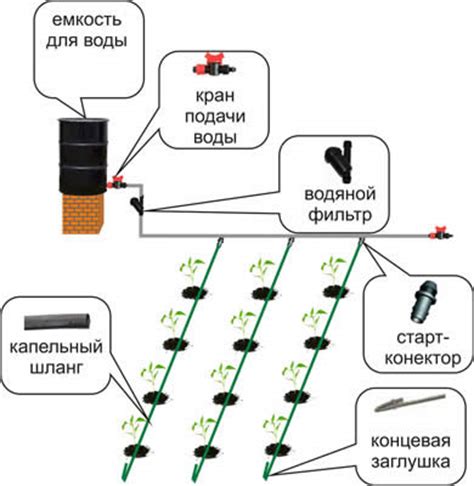 Основные принципы работы и устройство капельной системы полива