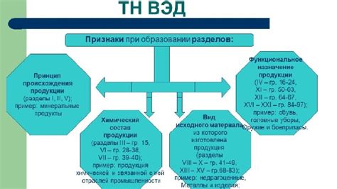 Основные принципы разграничения между CN Code и Кодом ТН ВЭД