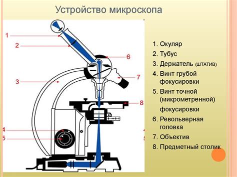 Основные способы исследования при помощи оптического микроскопа