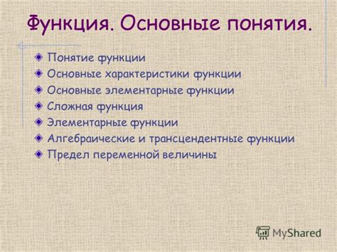 Основные функции пушистика