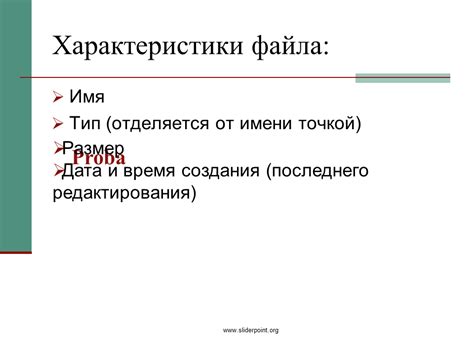 Основные характеристики RTT файла и его функциональное назначение