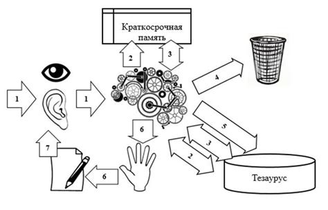 Основы активного восприятия информации из текста