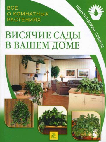 Основы заботы о растениях в доме: главные принципы