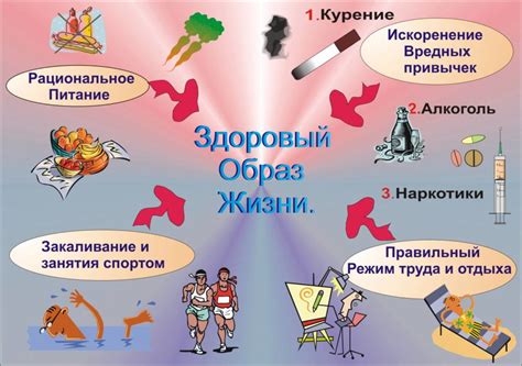 Основы здорового образа жизни: практические рекомендации для гармонии и благополучия