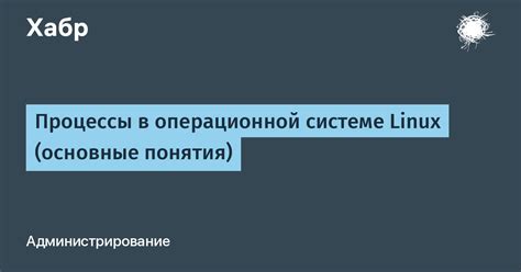 Основы настройки пусковой панели на операционной системе Linux