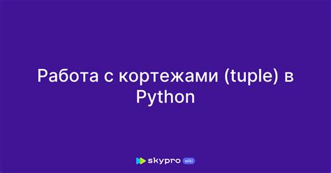 Основы работы с кортежами в языке программирования Python