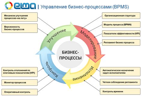 Основы управления и организации бизнес-процессов: неотъемлемая составляющая профессионального менеджера