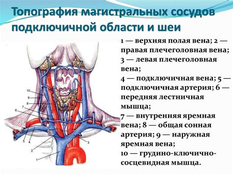 Основы фарватера на водной артерии: суть и значимость