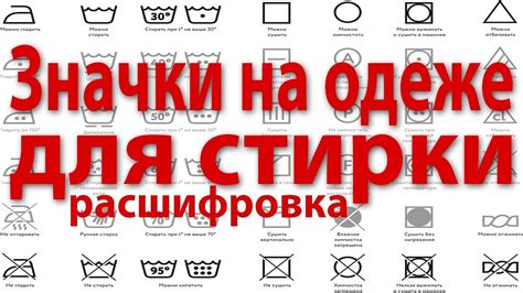 Основы функционирования современного стационарного агрегата для стирки одежды