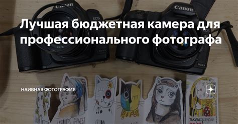 Особая камера для творческого фотографа