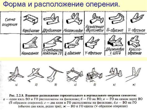 Особенности оперения и его расположение