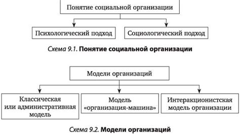 Особенности организации социальных связей у примитивных и современных обществ