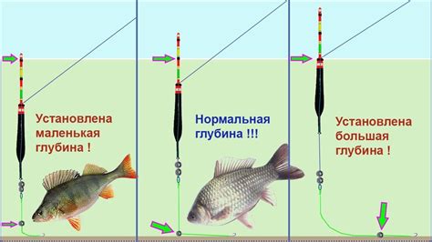 Особенности приманок под разные условия осенней рыбной ловли