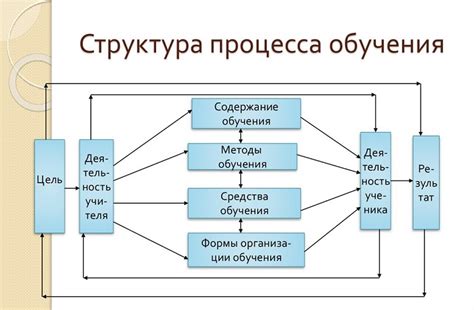 Особенности учебного процесса в лицее и школе