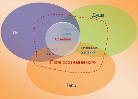 Осознание собственного потенциала: пробуждение внутренних возможностей