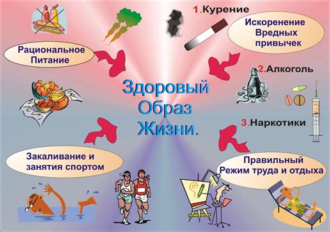 Отдайте приоритет физической активности и здоровому образу жизни