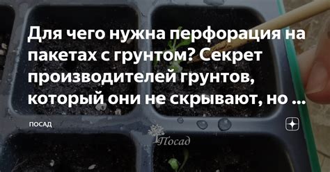 Отзывы владельцев: как они справляются с мелким грунтом в своих машинах?