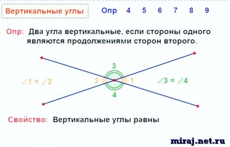 Отличия и примеры смежных и вертикальных углов