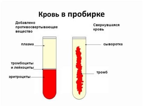 Отличия плазмы от крови