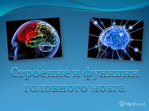 Отображение сердцебиения на трансляции без использования сервиса Pulsoid: пошаговая инструкция